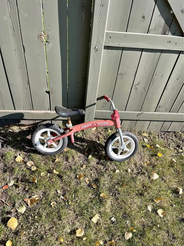 Radio flyer strider thumbnail