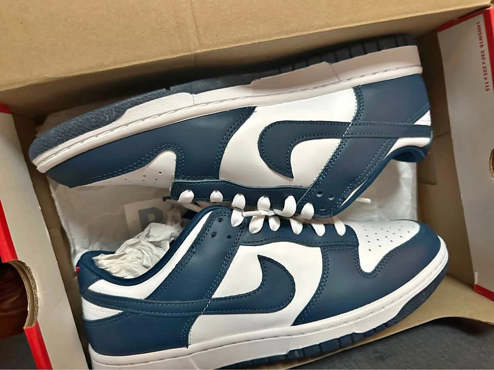 Nike Dunk Valerian Blue