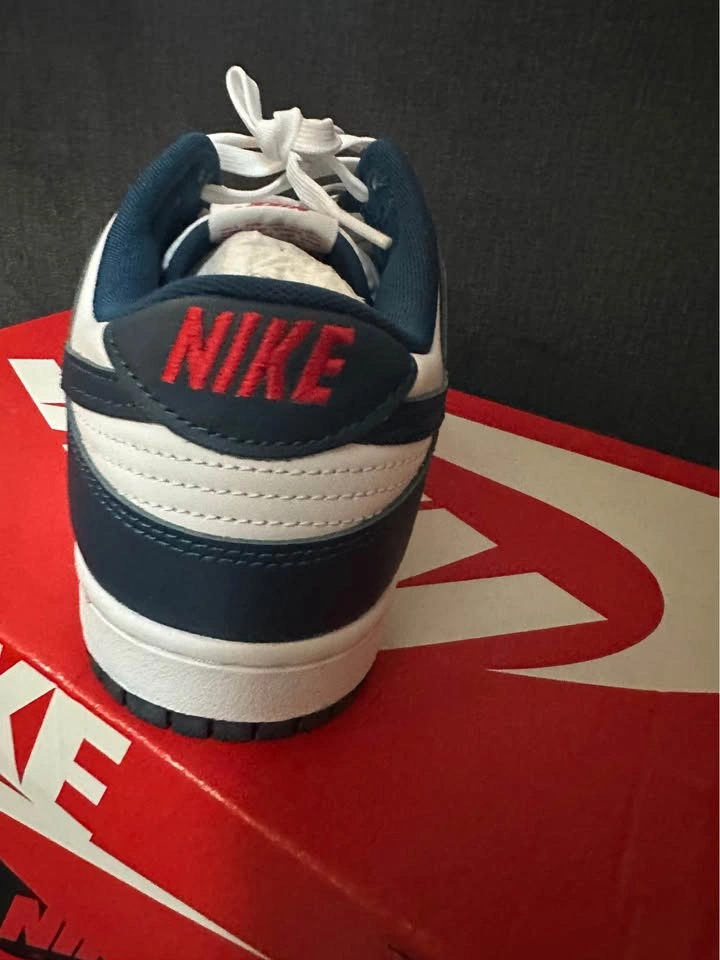 Nike Dunk Valerian Blue - photo 3