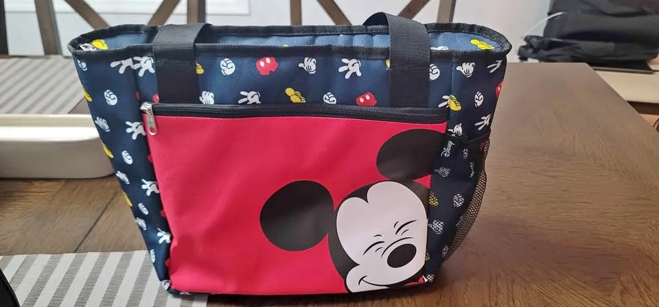 Insulated Picnic/Beach Bag thumbnail