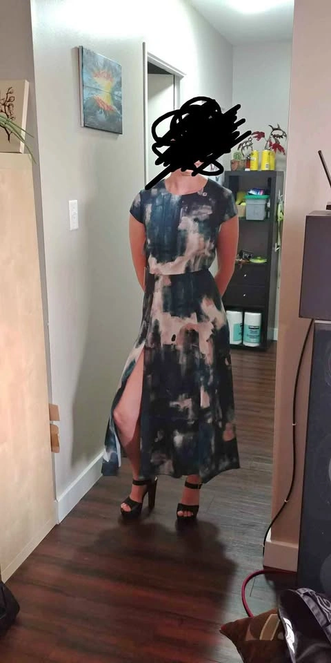 Aritzia Babaton Dress