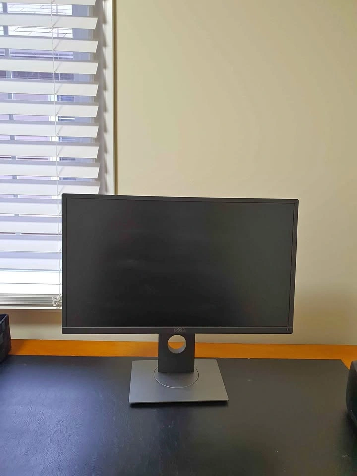 Dell UltraSharp 24" Monitor