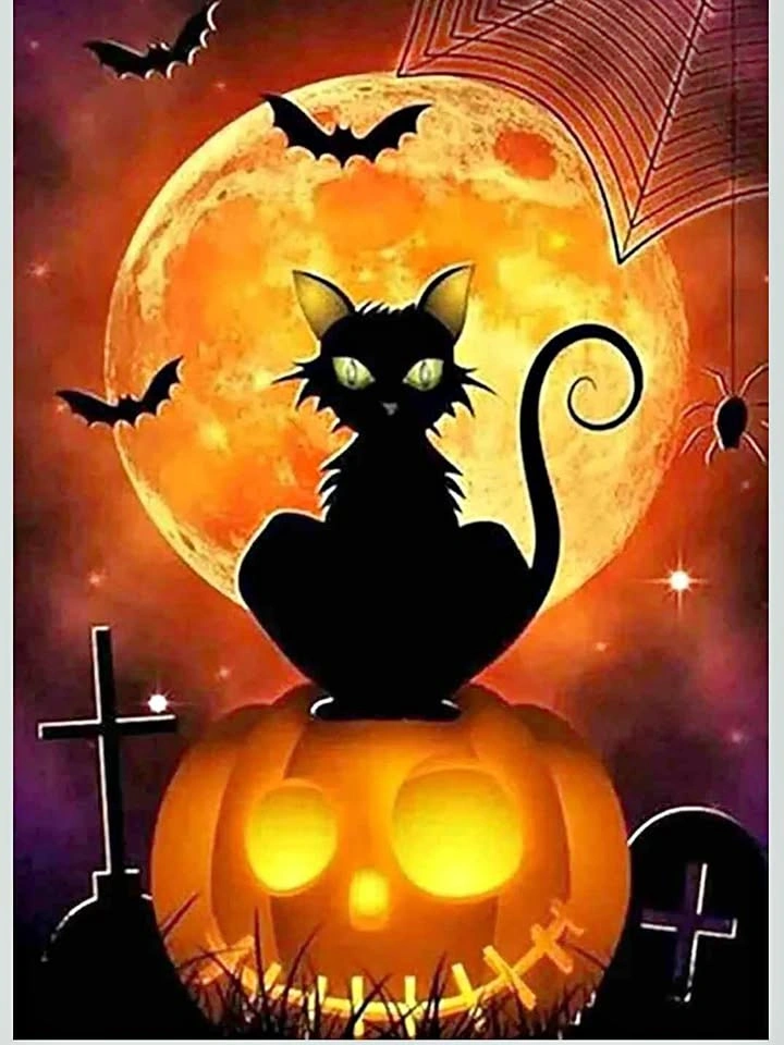 NEW Diamond Painting Kits for Adults, Halloween Cat 5D