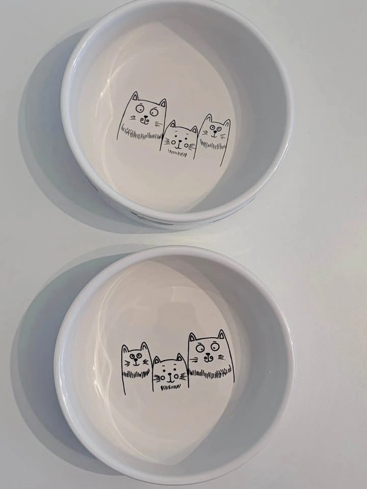Set of 2 Ceramic Pet Bowls