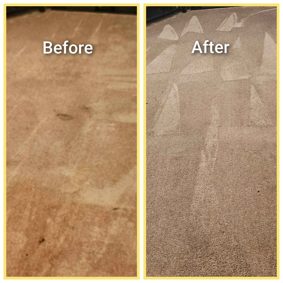 Carpet and Upholstery Cleaning Franchise for Sale - photo 3