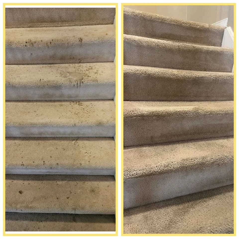 Carpet and Upholstery Cleaning Franchise for Sale - photo 4