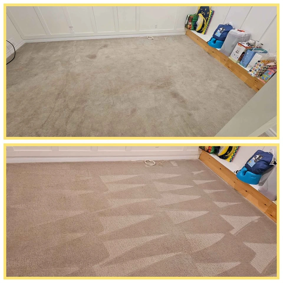 Carpet and Upholstery Cleaning Franchise for Sale - photo 5