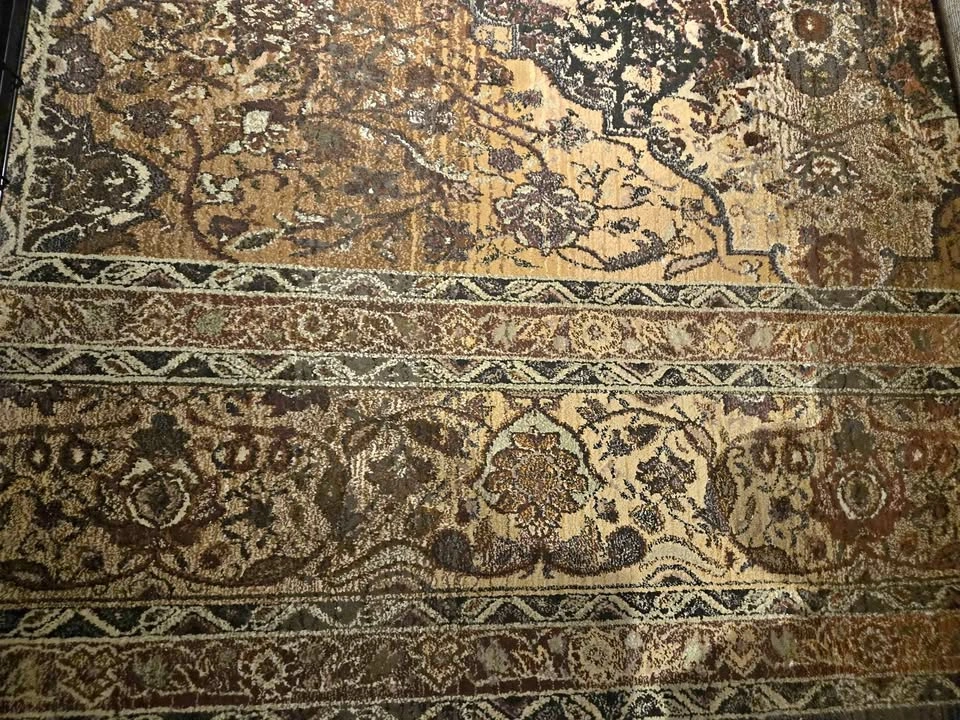 Distressed Brown Beige Area Rug