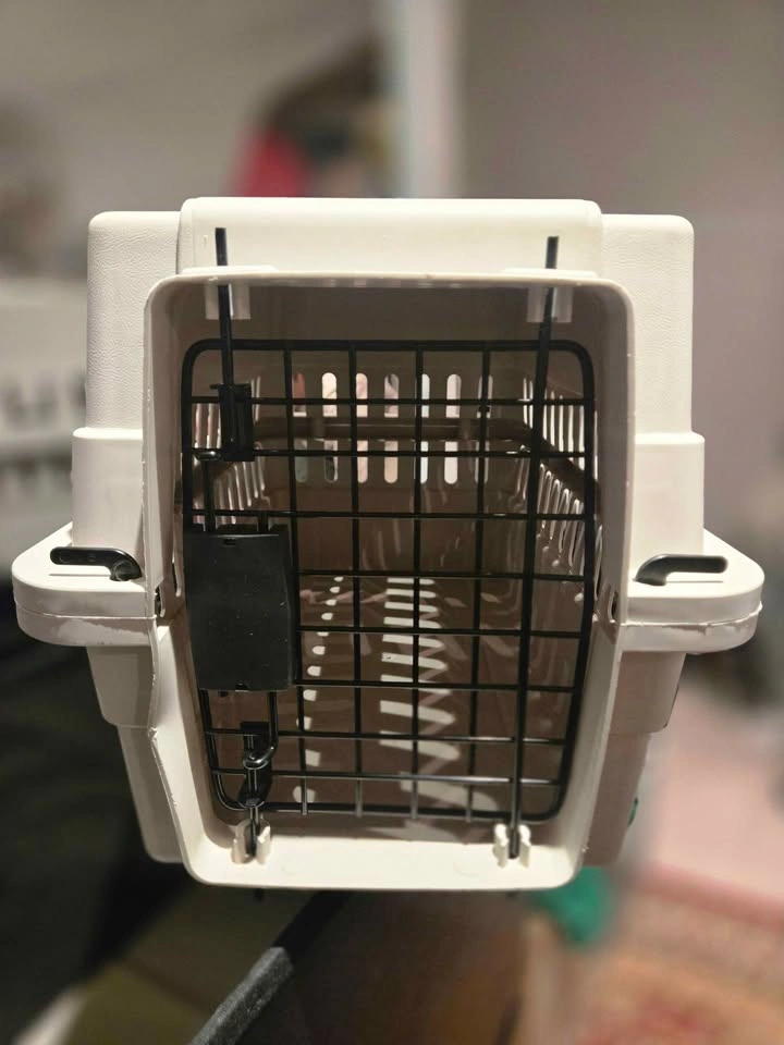 Portable Pet Carrier Small for Cats or Dogs - photo 3
