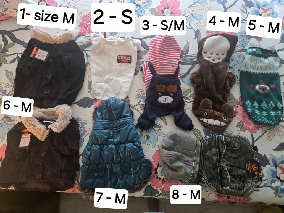 MOVING OUT SALE - dog clothes for an amazing price!
