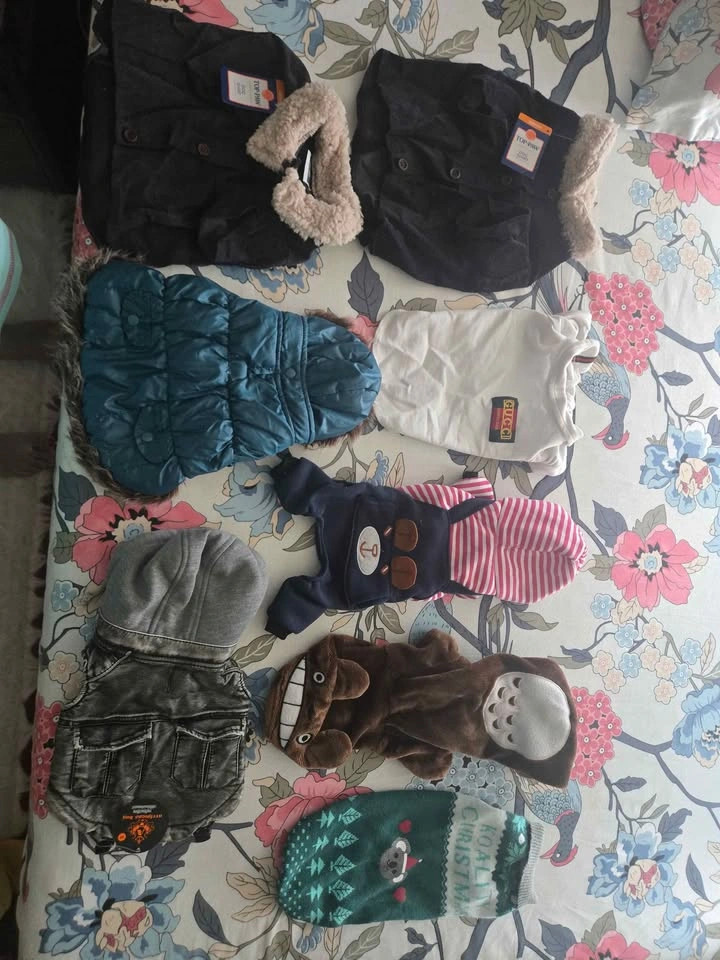 MOVING OUT SALE - dog clothes for an amazing price! - photo 2