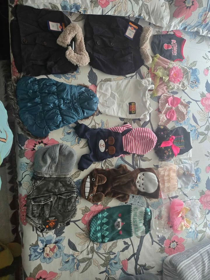 MOVING OUT SALE - dog clothes for an amazing price! - photo 3
