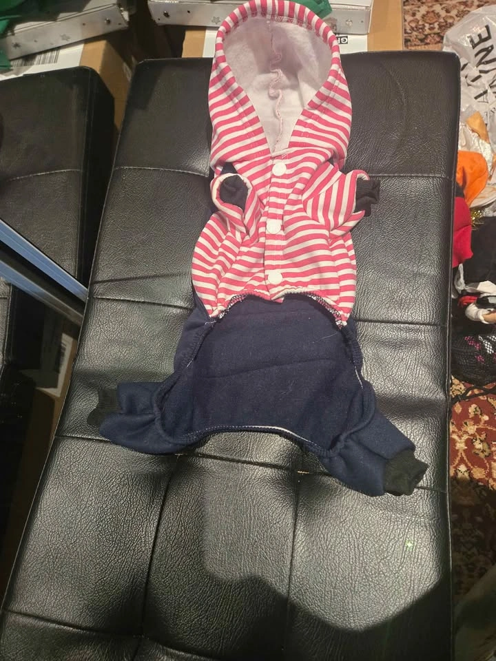 MOVING OUT SALE - dog clothes for an amazing price! - photo 4