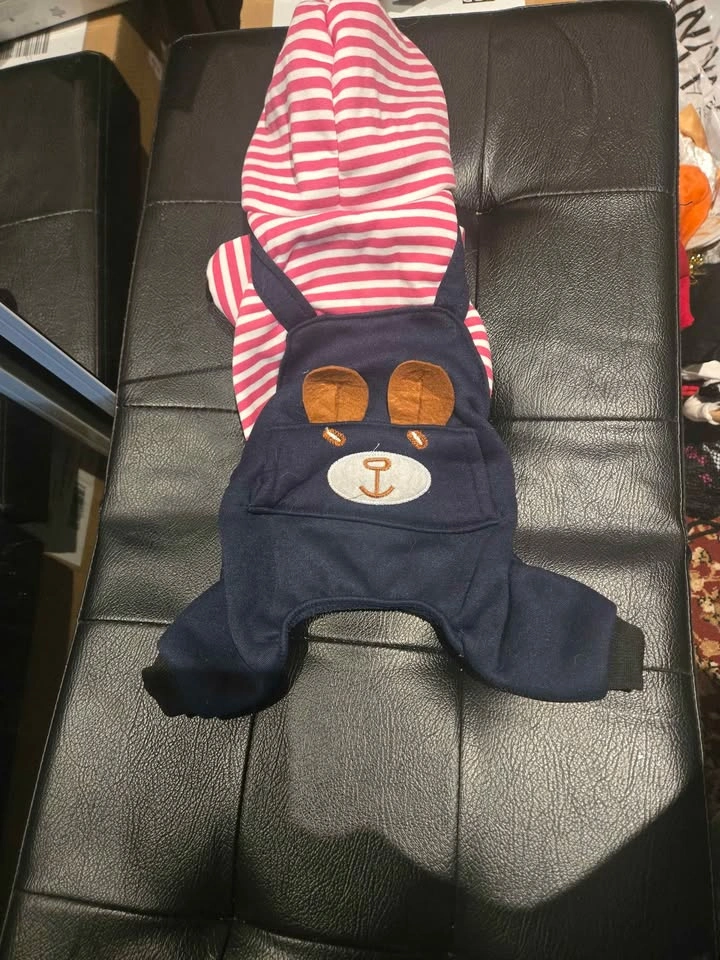 MOVING OUT SALE - dog clothes for an amazing price! - photo 5