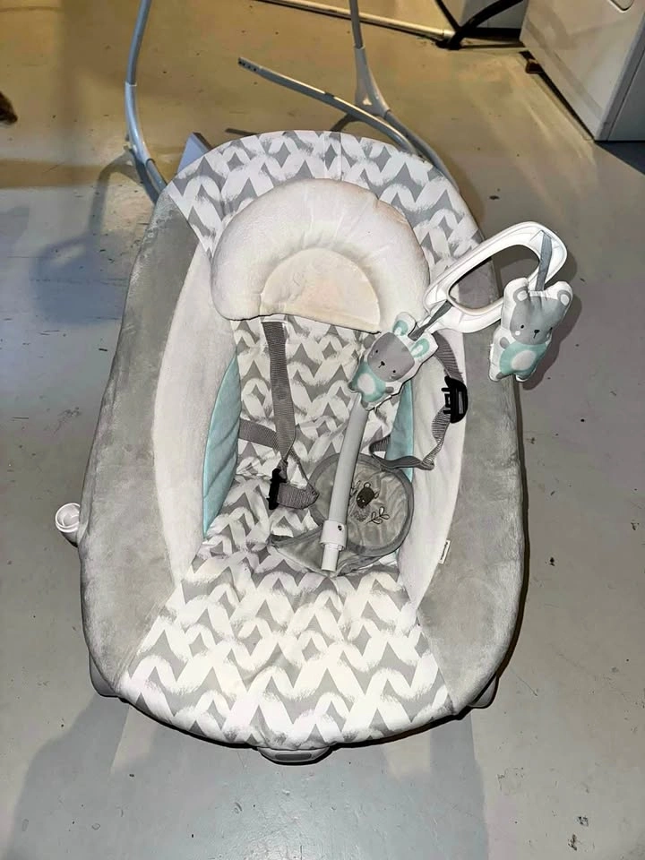 Ingenuity 2-in-1 Baby Swing & Rocker