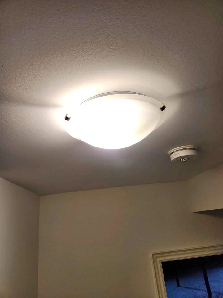 15" Ceiling Light 🥕