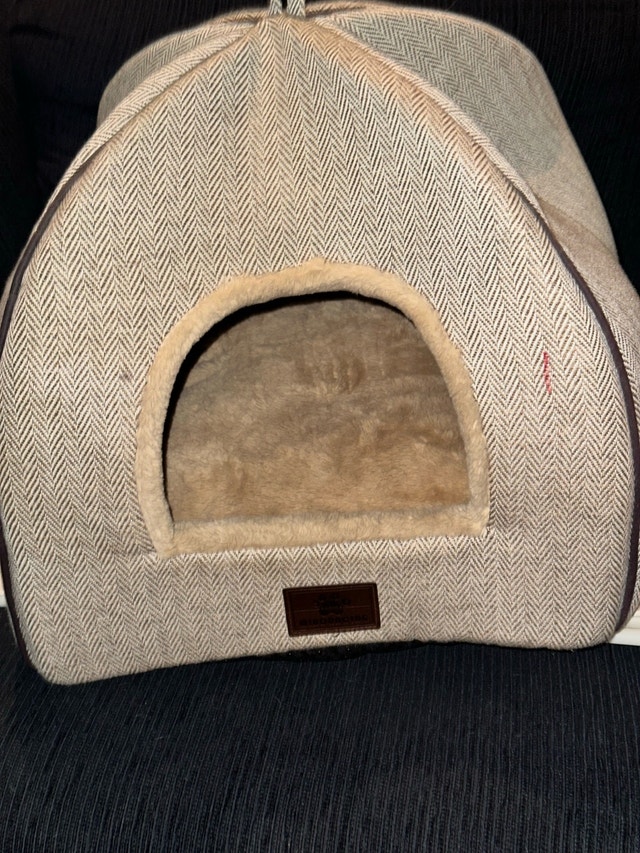 Cat tent bed for sale $15