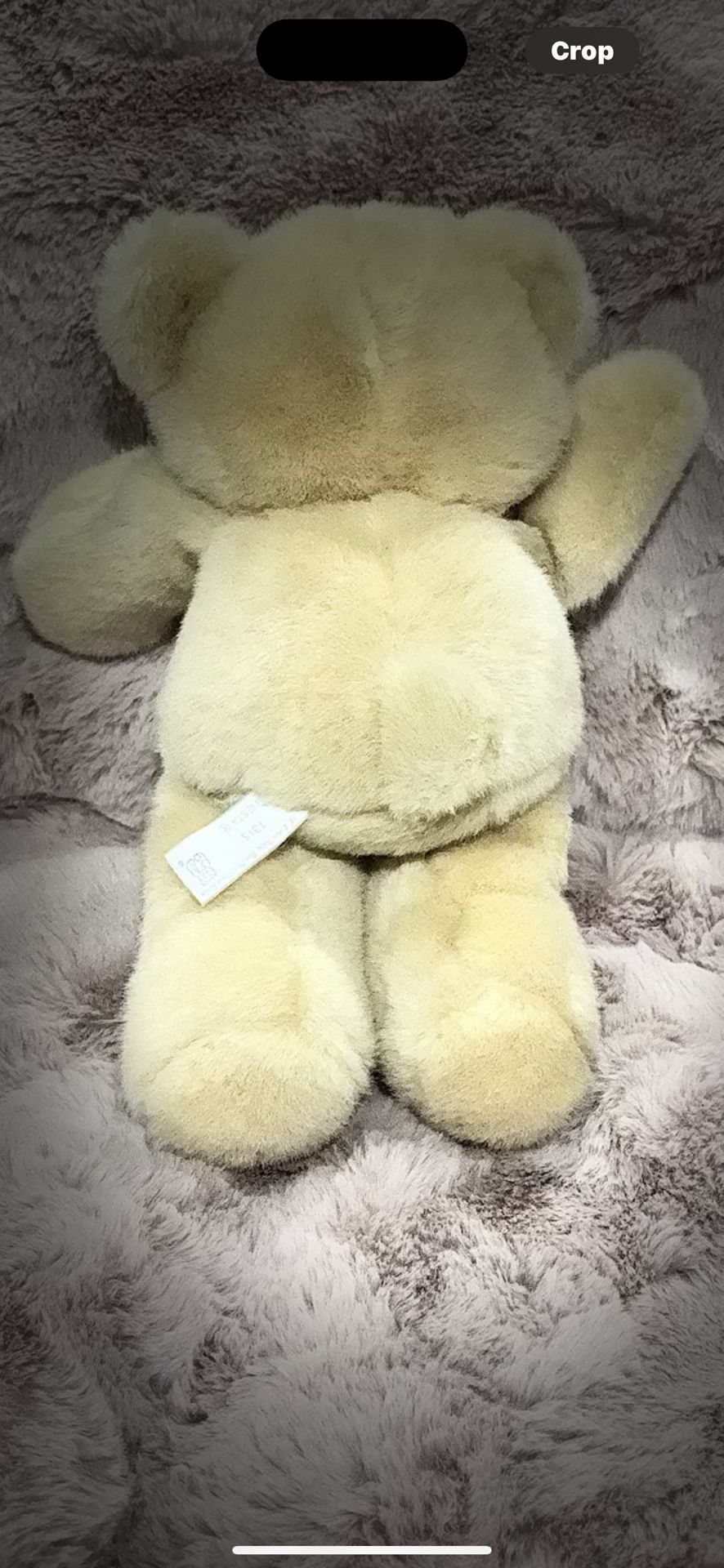 Adorable Plush Teddy Bear – 11” – Perfect Condition - photo 3