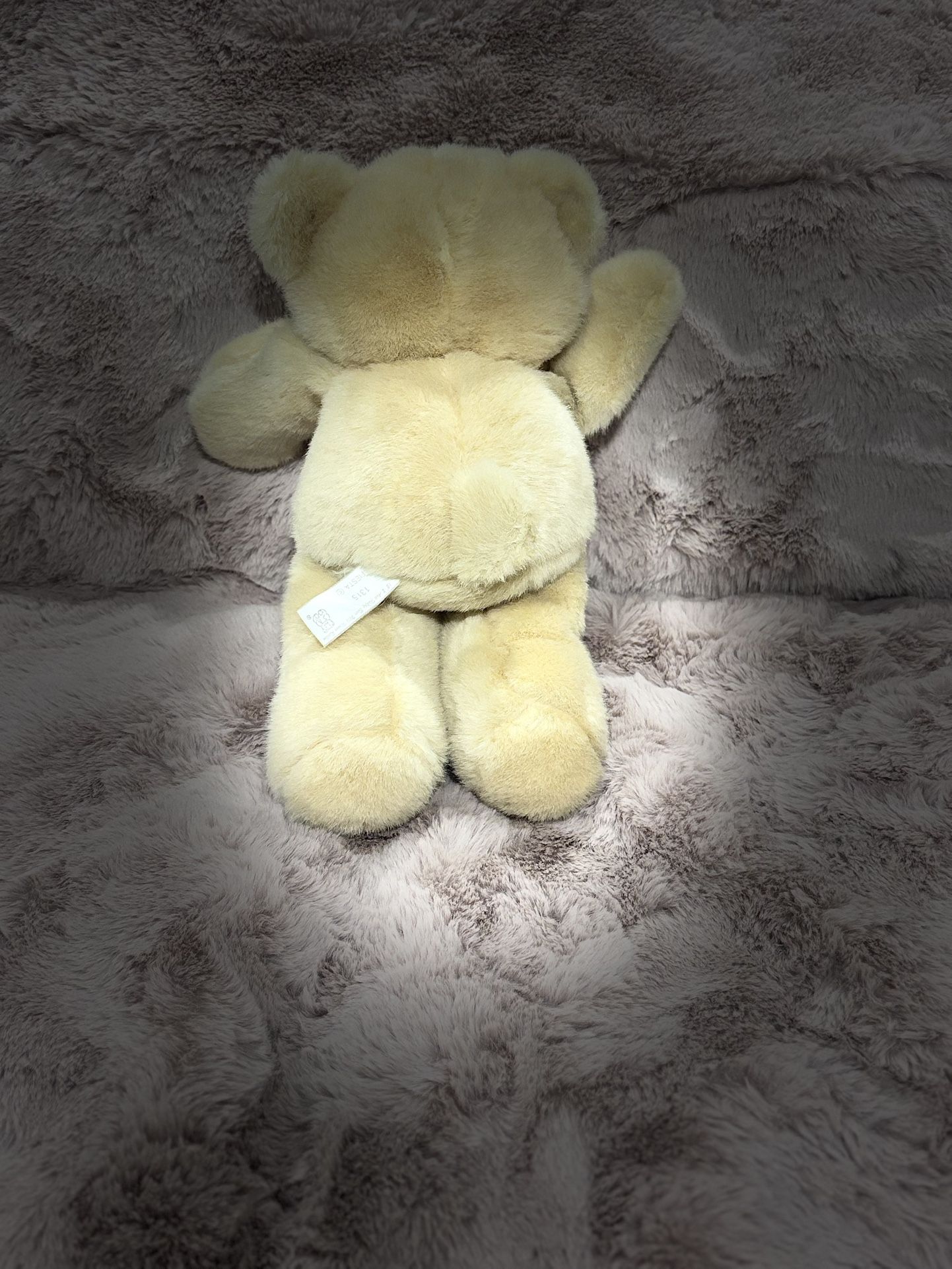 Adorable Plush Teddy Bear – 11” – Perfect Condition - photo 4