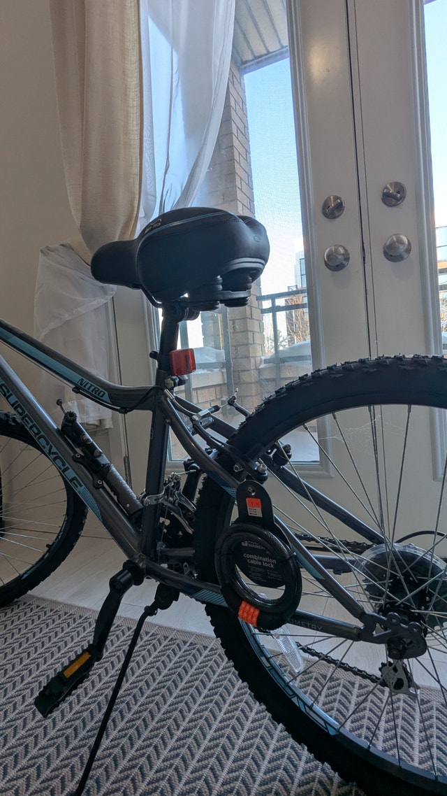 20in wheel frame Blue Bike for Kids, Almost New - photo 5