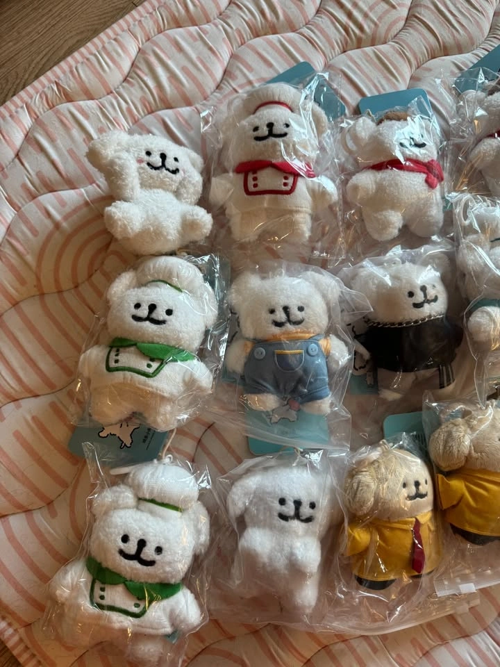✨ K-Style Dog Plushies ✨ Move-Out Sale 🐶 - photo 2