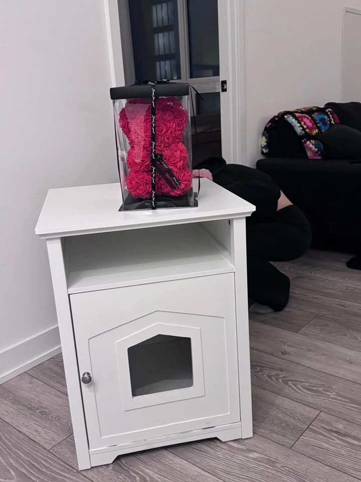 Cat Litter Box Cabinet - photo 2