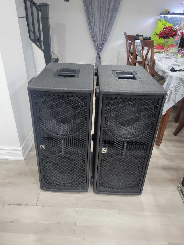 DJ YORKVILLE PSA 1 POWERED SUBWOOFER PAIR - photo 2