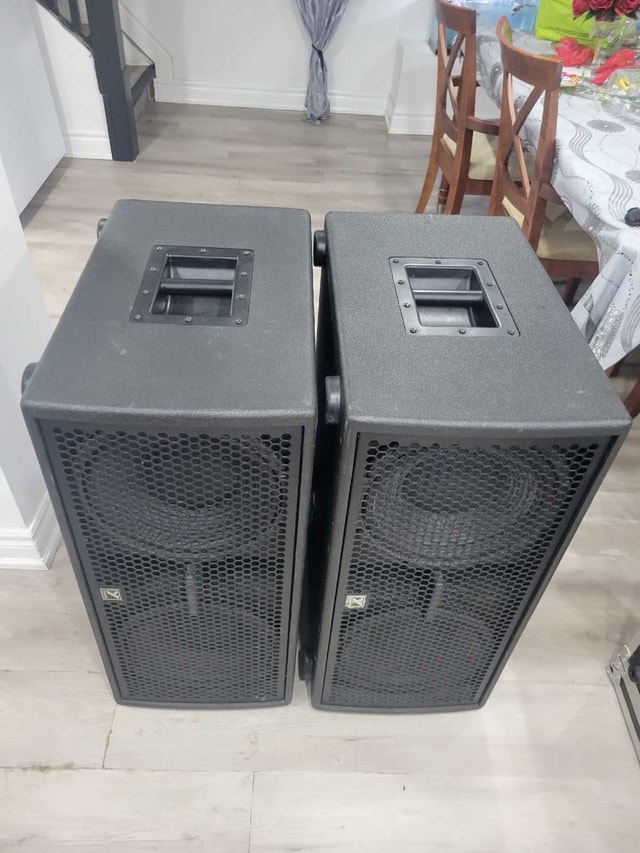 DJ YORKVILLE PSA 1 POWERED SUBWOOFER PAIR - photo 3