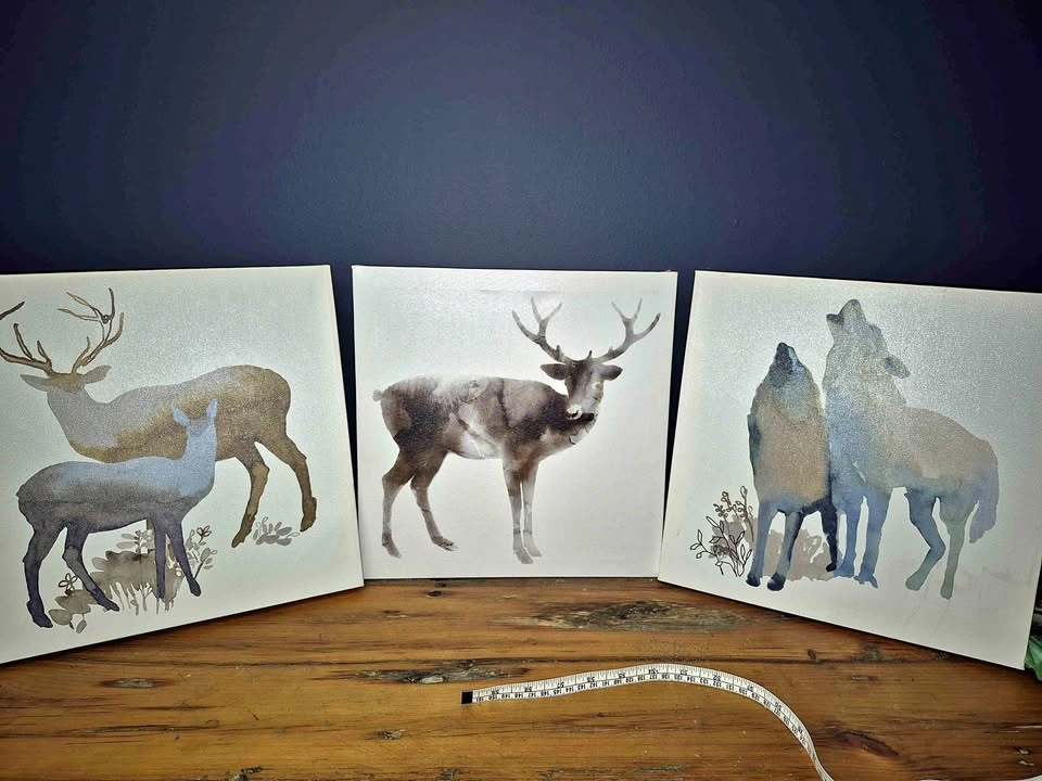 🥕 3 x 12"x12" Animal Canvas Pictures