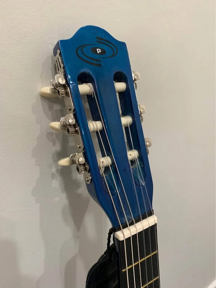 Pyle Guitar - photo 5