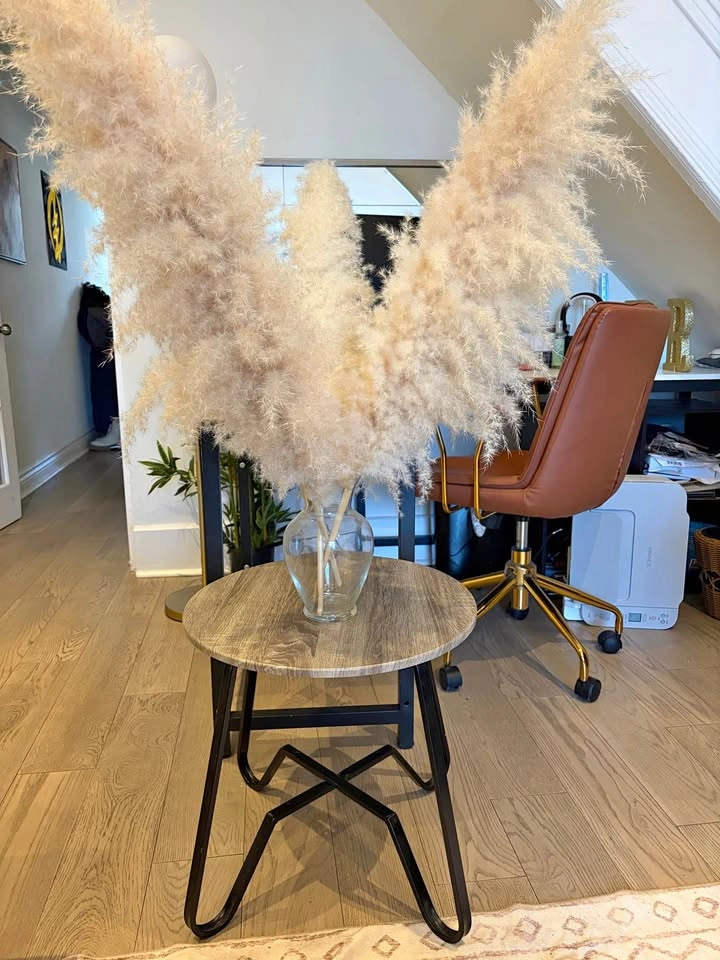 Pampas Grass