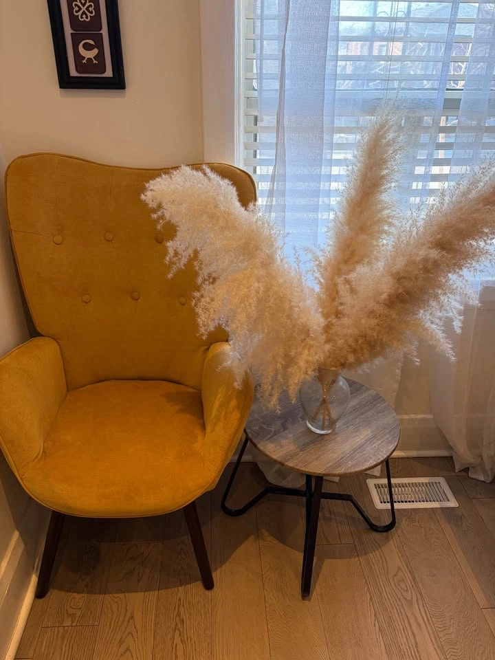 Pampas Grass - photo 2