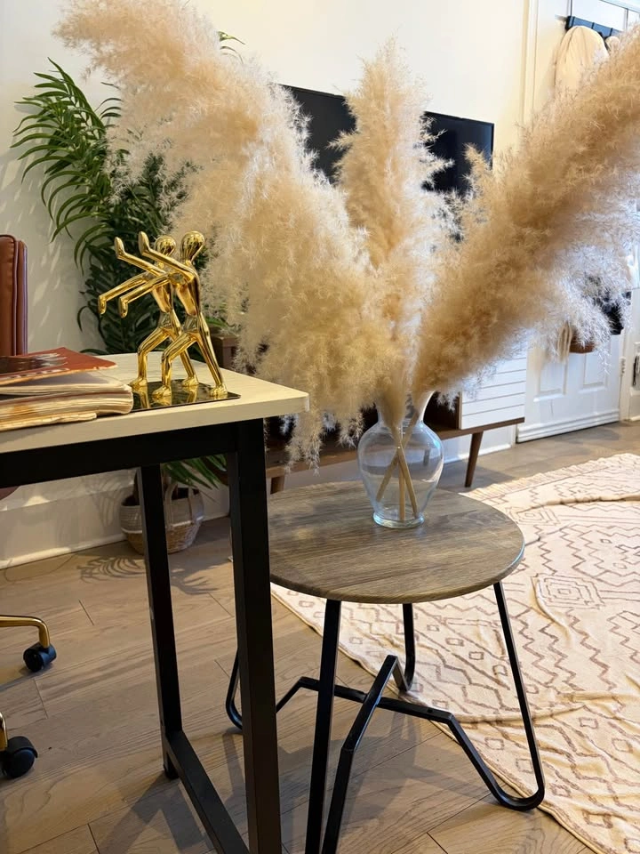 Pampas Grass - photo 3