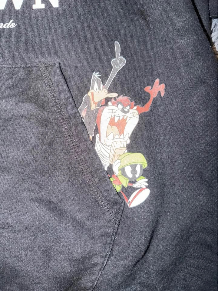 Ovo Looney Tunes Hoodie - photo 3