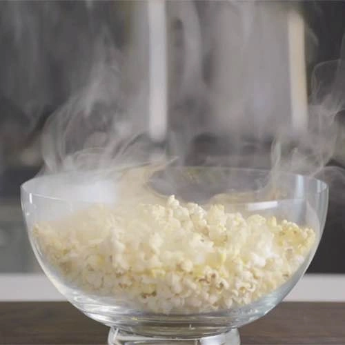 Breville Smoking Gun - photo 3