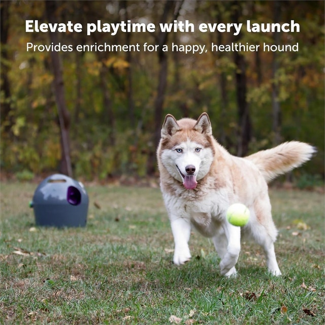 PetSafe Automatic Ball Launcher - Interactive Dog Toy - photo 2