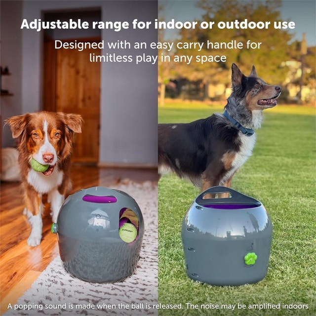 PetSafe Automatic Ball Launcher - Interactive Dog Toy - photo 4