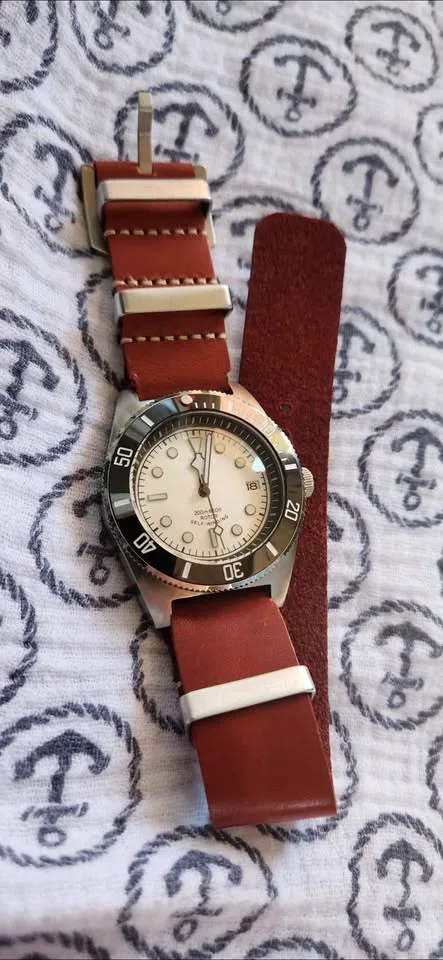 Seiko nh35, black bay esc homage. image indicator(2)