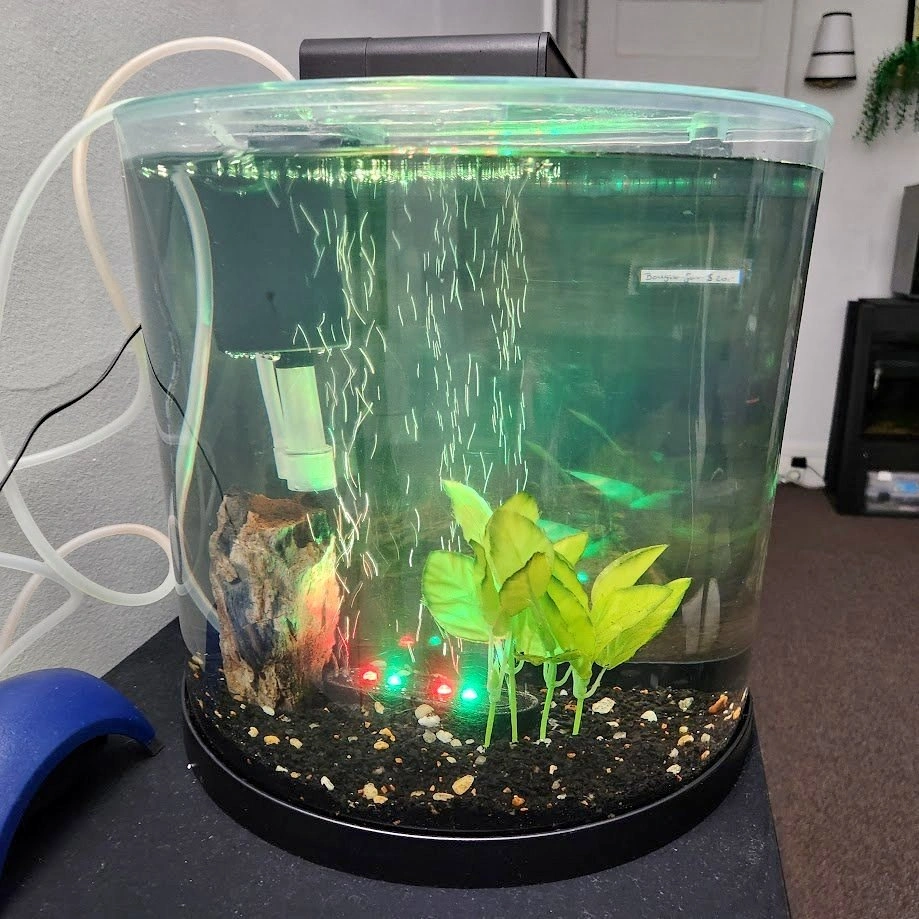 Complete 3 Gallon Colorfushion Aquarium ~ Great Condition