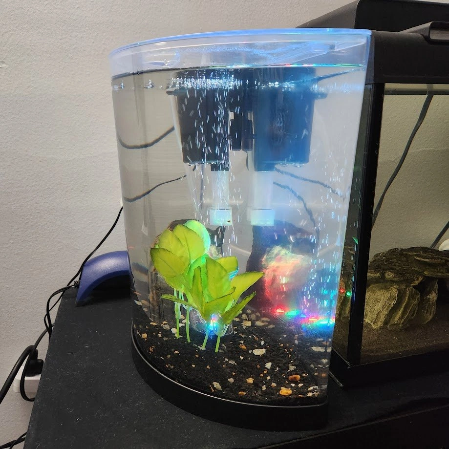 Complete 3 Gallon Colorfushion Aquarium ~ Great Condition - photo 2