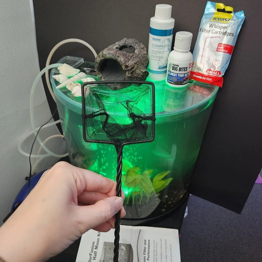 Complete 3 Gallon Colorfushion Aquarium ~ Great Condition - photo 3