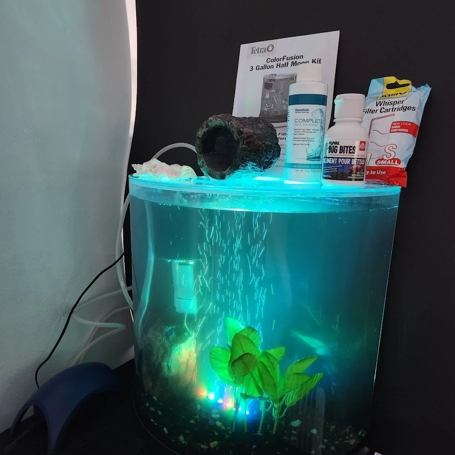 Complete 3 Gallon Colorfushion Aquarium ~ Great Condition - photo 4