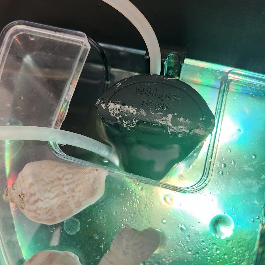 Complete 3 Gallon Colorfushion Aquarium ~ Great Condition - photo 5