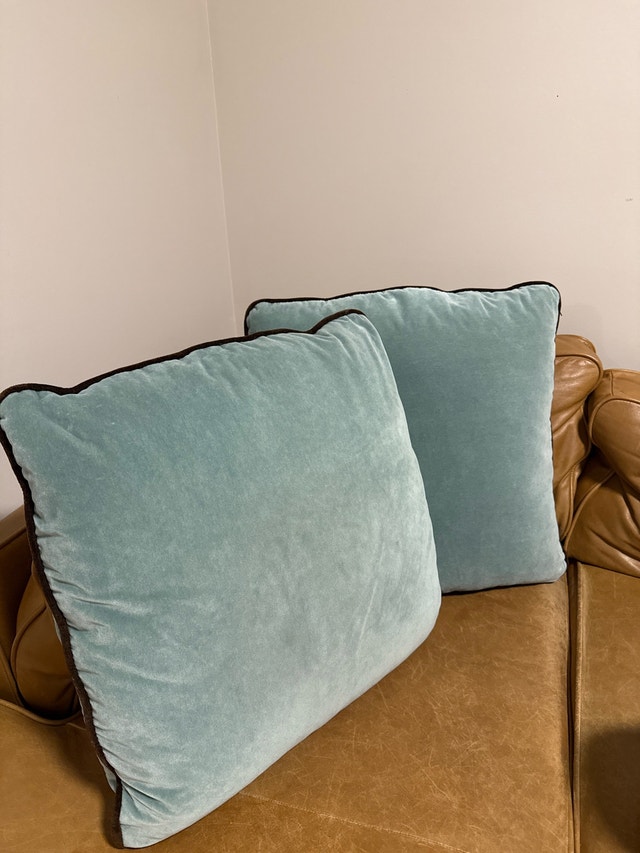 Velvet Accent Pillows x 2