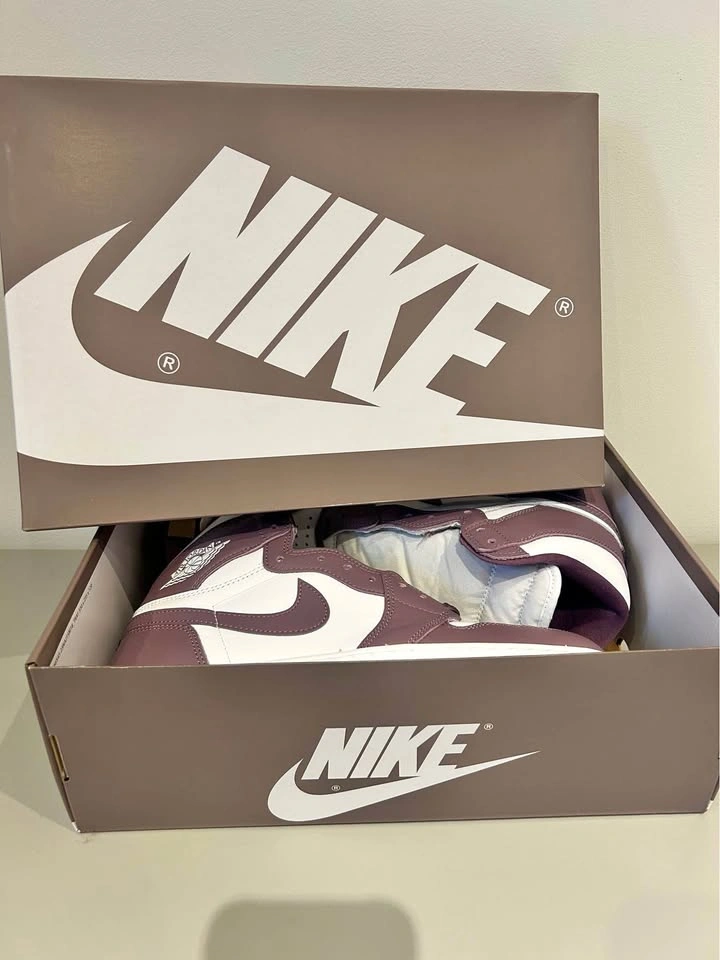 Air Jordan 1 Retro High OG Mauve - Size 10