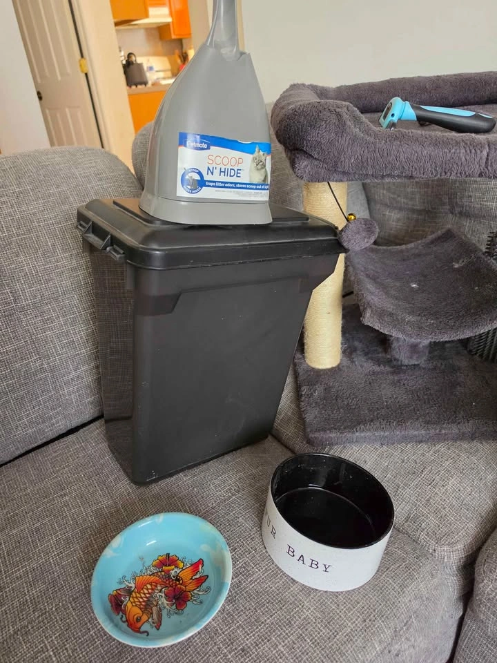 Cat Supply Bundle - photo 2