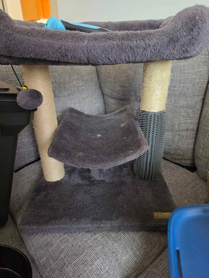 Cat Supply Bundle - photo 4