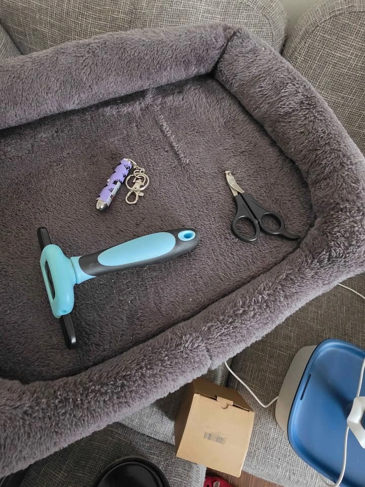 Cat Supply Bundle - photo 5