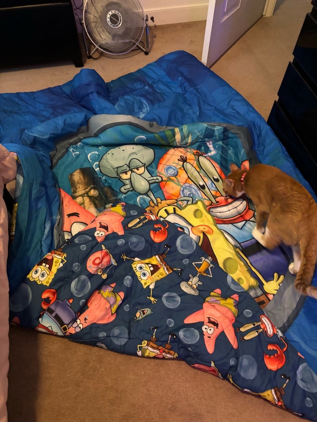 Unused Spongebob Twin Bed Duvet - photo 2