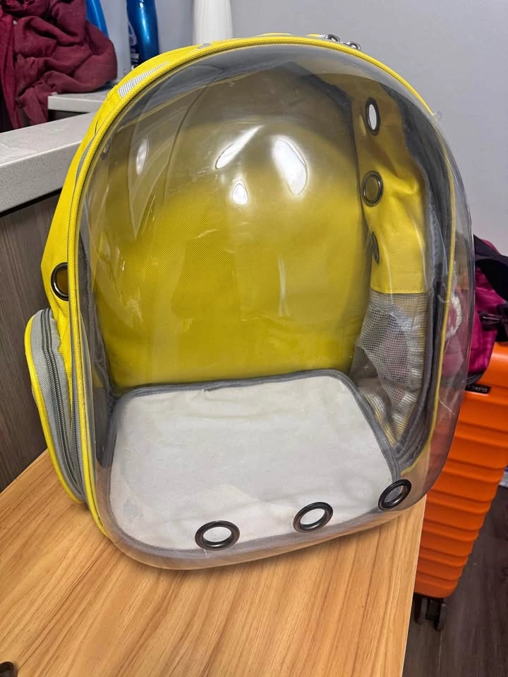 Pet Carrier Bag